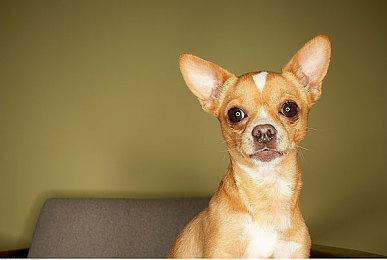 体验桌面战斗 手游《战锤40K：战术》将于8月推出